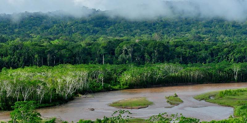 ITU-forskning i bæredygtighed i Amazonas bevilges midler af DFF
